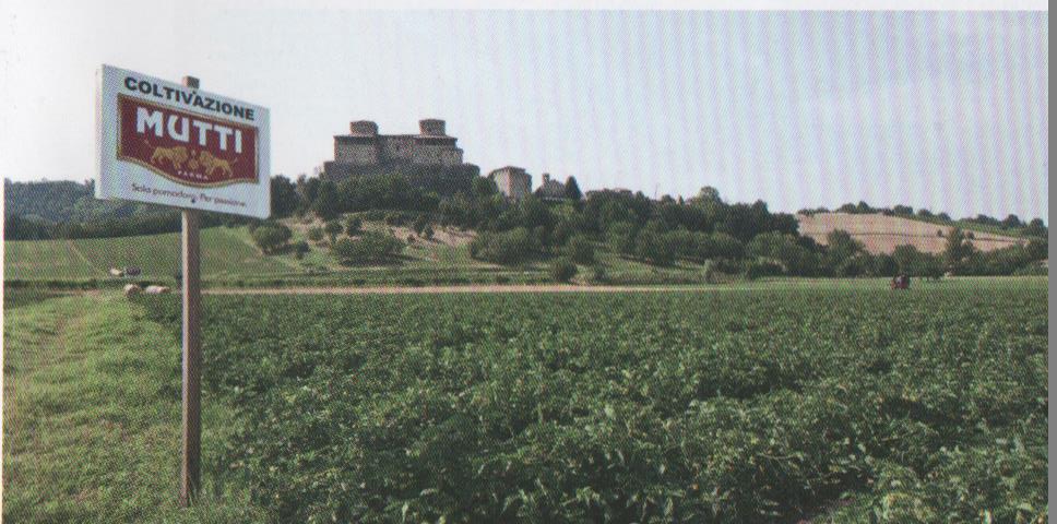 image138.jpg