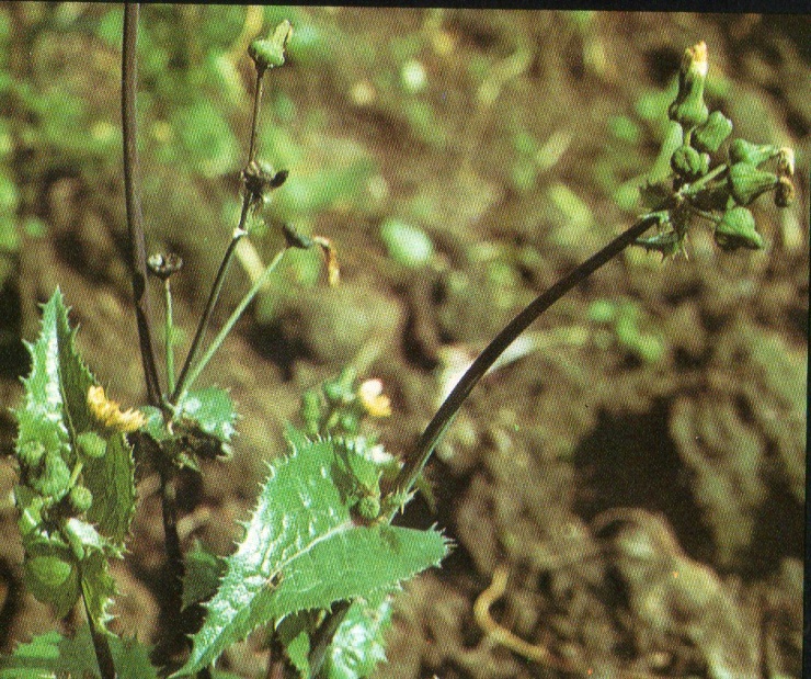 image222.jpg