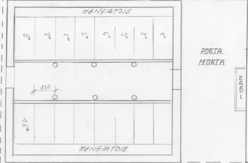 image259b.jpg