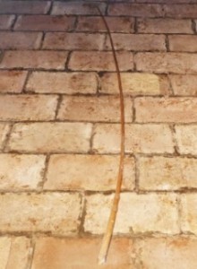 AUTOMOBILI E CALESSI Immagine 3