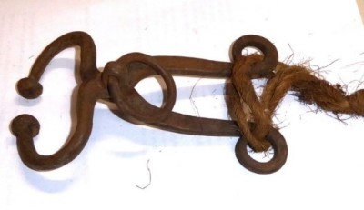 MORAGNE PER TORI Immagine 5