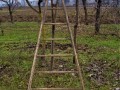 SCALE PER USO AGRICOLO Immagine 1
