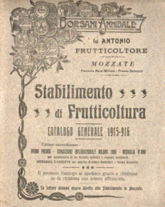 CATALOGHI DIVERSI D'AGRICOLTURA Immagine 4