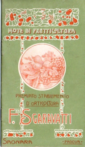 CATALOGHI SGARAVATTI Immagine 6