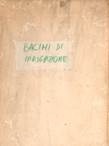 TEASTI SU IMPIANTI IDROELETTRICI Immagine 7