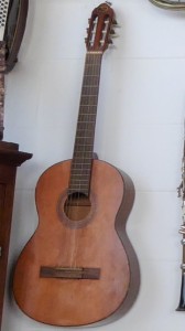 STRUMENTI A CORDA, CHITARRA E MANDOLINO Immagine 1