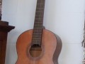 STRUMENTI A CORDA, CHITARRA E MANDOLINO Immagine 1