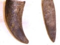 ACCESSORI PER FIENAGIONE Immagine 1