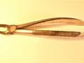 MEDICI Immagine 1