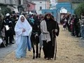 CREDENZE, USANZE E FESTE IN BASILICAGOIANO Immagine 1