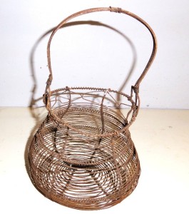 SCOLA VERDURE Immagine 9