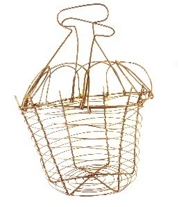 SCOLA VERDURE Immagine 4