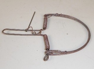 TRAPPOLE PER TOPI, UCCELLI, FAINE Immagine 3