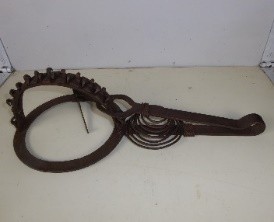 TRAPPOLE PER TOPI, UCCELLI, FAINE Immagine 14