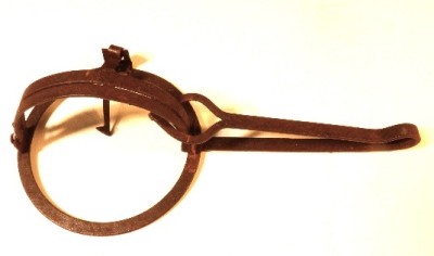 TRAPPOLE PER TOPI, UCCELLI, FAINE Immagine 15
