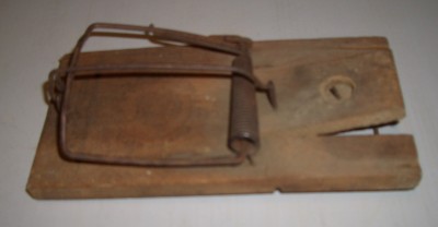 TRAPPOLE PER TOPI, UCCELLI, FAINE Immagine 1