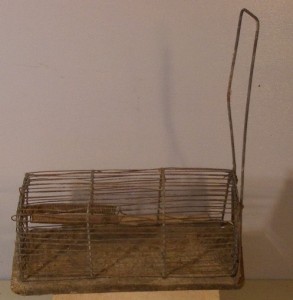 TRAPPOLE PER TOPI, UCCELLI, FAINE Immagine 8