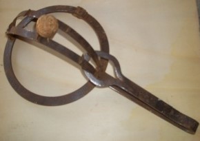 TRAPPOLE PER TOPI, UCCELLI, FAINE Immagine 11