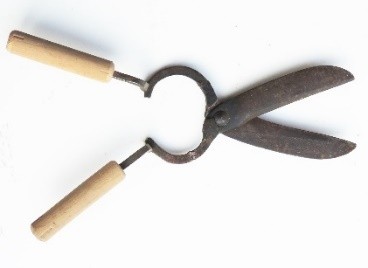 MANNAIE E FORBICI Immagine 11