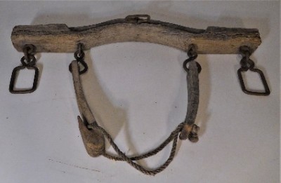 GIOGHI PER BOVINI Immagine 13