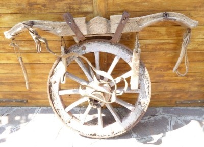 GIOGHI PER BOVINI Immagine 14