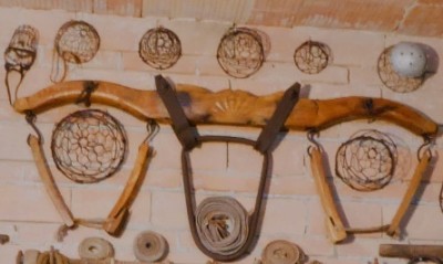 GIOGHI PER BOVINI Immagine 4