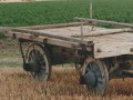 CARRI, CARRETTE IN LEGNO E ACCESSORI Immagine 1
