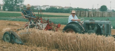 ATTREZZI PER RACCOLTA E TREBBIATURA GRANO, MIETILEGA, ... Immagine 1