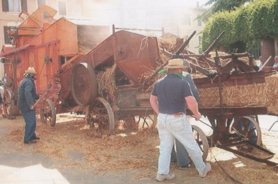 ATTREZZI PER RACCOLTA E TREBBIATURA GRANO, MIETILEGA, ... Immagine 2
