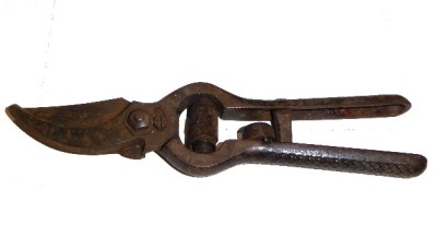 FORBICI PER POTARE E VENDEMMIARE Immagine 13